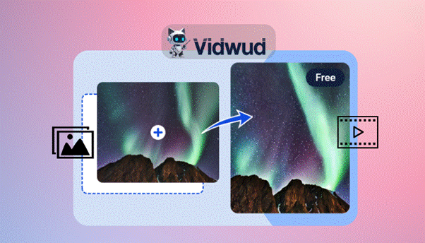 Vidwud AI