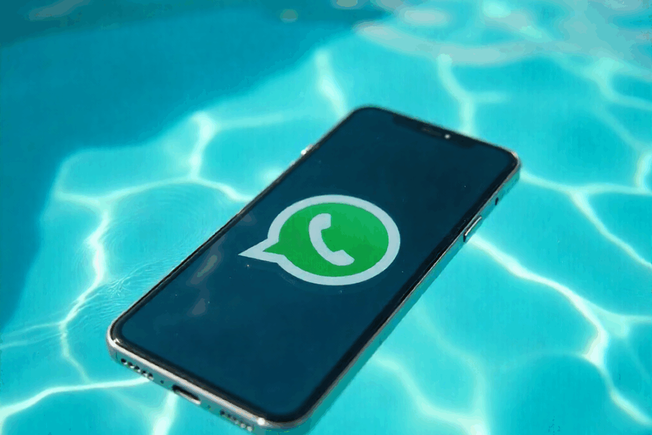 O que é Doctor Fantasy WhatsApp Web? Entenda o fenômeno viral